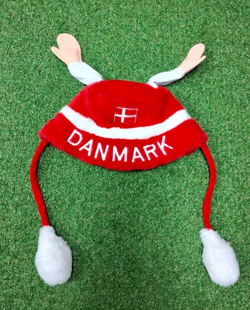Denmark cap, close-up of details and tags 1